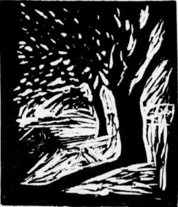 "Træer" - linoleumssnit af Ole Damsbo - Damsbo Grafik